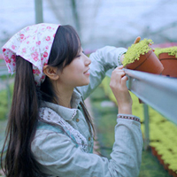 韩系小清新女生QQ头像合集，46张唯美好看的图来了