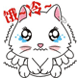 软乎乎的白色小猫咪表情包来啦