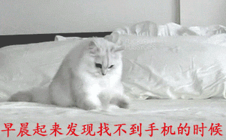 救命！这些狗狗表情包精准戳中了我的日常心态