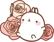 molang兔表情包合集来啦，软萌治愈又好用