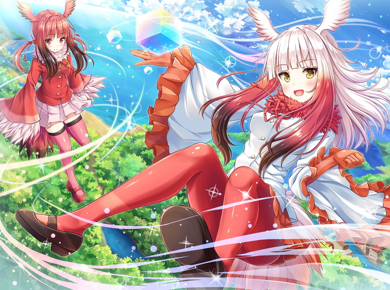 动物朋友 朱鹮壁纸