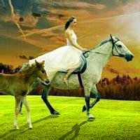 女生骑马的唯美微信头像合集 19张好看的女生骑马头像