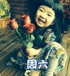 打工人必备！姐姐版一周心情表情包合集