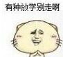 放学别走！这套小学生斗图表情包火了