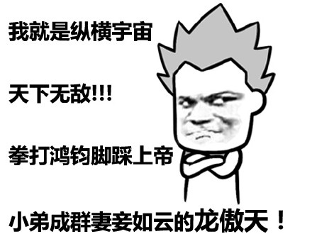 龙傲天叶良辰赵日天张干地表情包合集