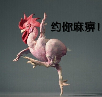 无毛鸡搞笑表情包合集来啦