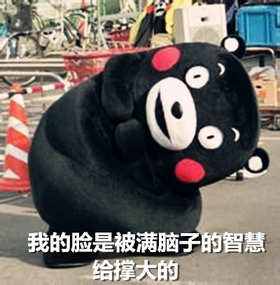 熊本熊搞笑脸大表情包来啦！劳资就是脸大怎么了？