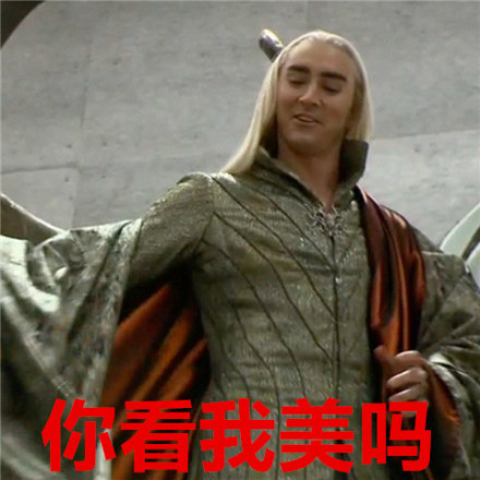 霍比特人表情包合集