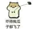 爱嗑瓜子的仓鼠表情包合集来啦