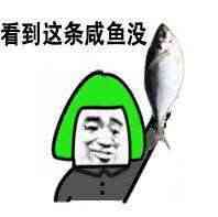 金馆长咸鱼表情包合集来了！看到这条咸鱼没？