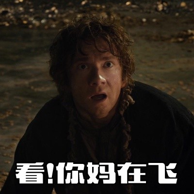 霍比特人主题表情包合集