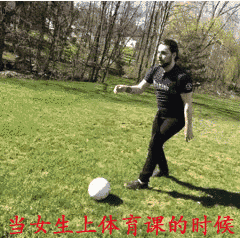 救命！这些狗狗表情包精准戳中了我的日常心态