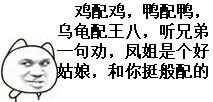 鸡配鸡鸭配鸭，这套梗表情包火了