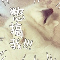 不想上班emo？这套汪星人表情包戳中打工人心声