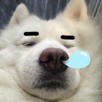 不想上班emo？这套汪星人表情包戳中打工人心声