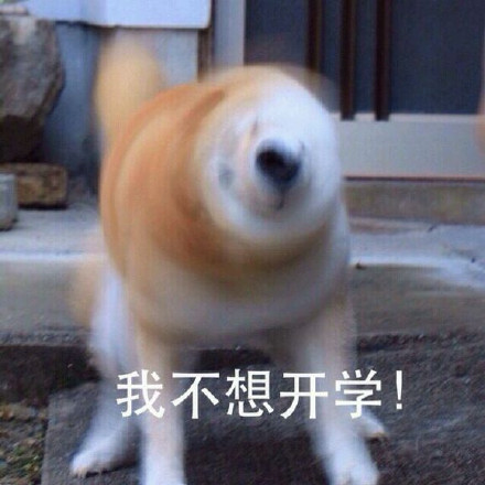 这套Doge内心戏表情包，简直是当代年轻人嘴替