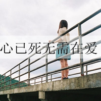 女生侧脸唯美带字头像：终于你还是忘了我（48张）