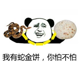 金馆长和动物的趣味表情包合集