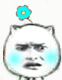 猥琐猫带小花的表情包合集