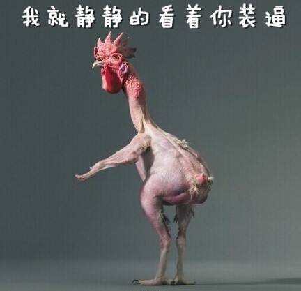 无毛鸡搞笑表情包合集来啦