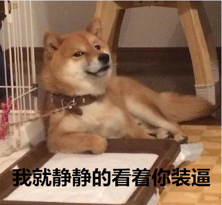 天冷不想动？汪星人表情包求帮忙上厕所