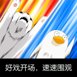 伊丽莎白系列表情包合集