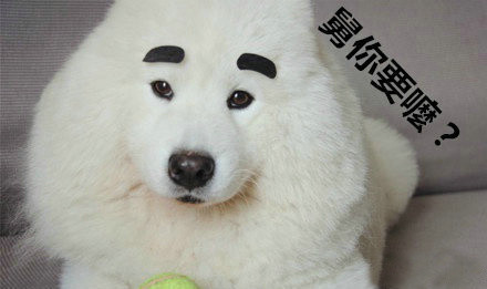 单身狗专属表情包合集