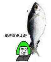 金馆长咸鱼表情包合集来了！看到这条咸鱼没？