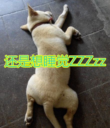 节后返工返校第一天 你是不是只想躺平？