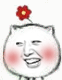 猥琐猫带小花的表情包合集
