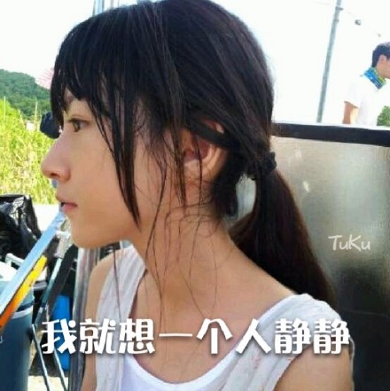 赛纶系列表情包整理分享