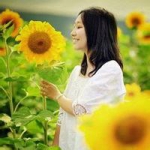 女生向日葵头像 32张清新森系氛围感美图合集