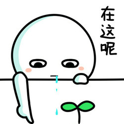 超好用的萌萌点手指表情包合集