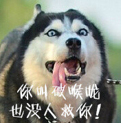 单身狗专属恶搞表情包合集