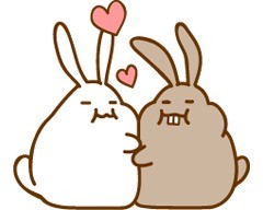 软萌兔子表情包合集