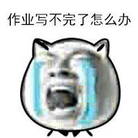 超实用猫脸配字表情包合集