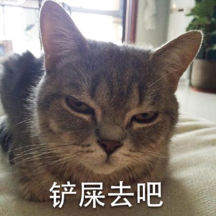 这套喵星人警察蜀黍表情包太逗了