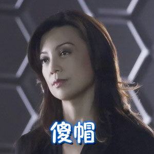 聊天斗图常备！梅姨系列表情包合集