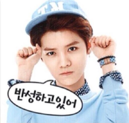 鹿晗同款萌萌哒聊天表情合集