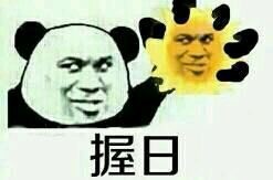 老子（劳资）一粪瓢扣死你 金馆长熊猫表情包