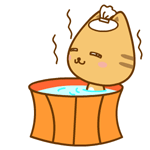 乖乖猫卡通表情包合集来啦