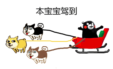 天气转冷单身狗变“雪橇犬”？这套梗表情包火了