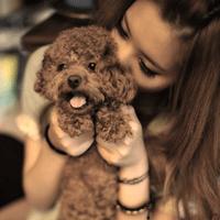 女生抱狗狗的暖心头像合集 29张治愈感拉满