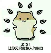 仓鼠掉瓜子表情包合集来了