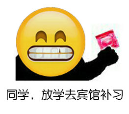 同学，放学去宾馆补习 系列表情包
