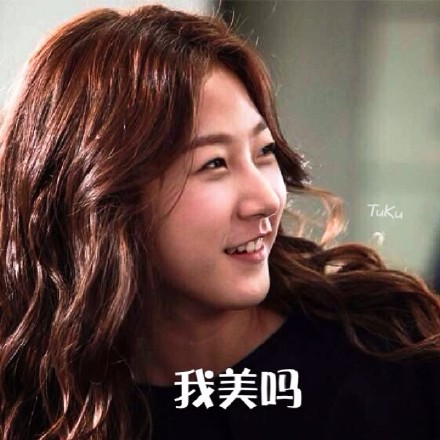 赛纶系列表情包整理分享