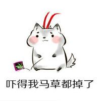 救命！这套仓鼠吓傻表情包太戳人了