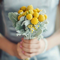 手捧花女生微信头像合集 36张唯美氛围感头像任你选