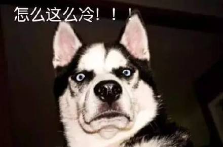 最强冷空气组团来降温！冻得人只想裹紧小被子