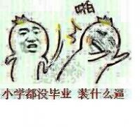 鸡配鸡鸭配鸭，这套梗表情包火了